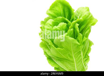 salade de chou beau légume en osier ou panier isolé sur fond blanc Banque D'Images