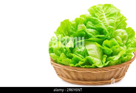 salade de chou beau légume en osier ou panier isolé sur fond blanc Banque D'Images