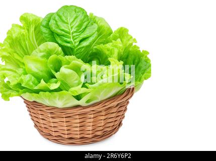 salade de chou beau légume en osier ou panier isolé sur fond blanc Banque D'Images