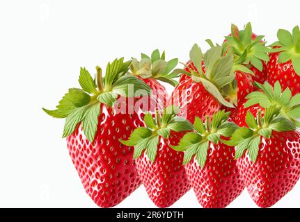 beau fruit frais de fraise isolé sur fond blanc Banque D'Images