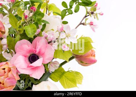 Élégant bouquet de printemps pastel mélangé sur fond blanc avec espace de copie. Tulipes de printemps. Bouquet de tulipes. Banque D'Images