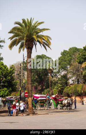 Marrakech, Maroc Banque D'Images