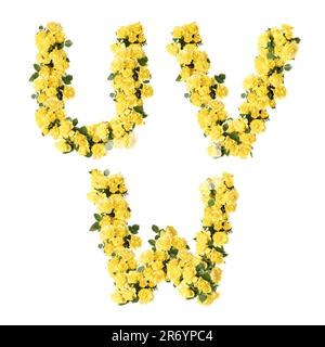 3D illustration des fleurs roses jaunes lettre majuscule lettre alphabet - lettres U-W Banque D'Images