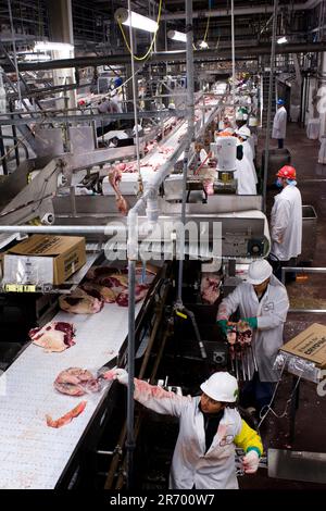 Emballage de la viande : les côtés du bœuf sont transportés sur une ligne où la viande est coupée en steaks et rôtis populaires Banque D'Images