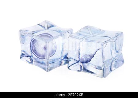 Cryoconservation du matériel génétique. Ovule et spermatozoïdes dans des cubes de glace sur fond blanc Banque D'Images