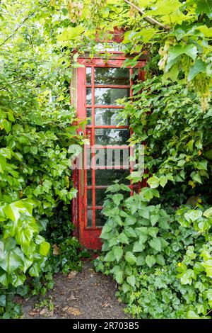 Téléphone rouge britannique et boîte aux lettres dissimulés par des buissons et des arbres Banque D'Images