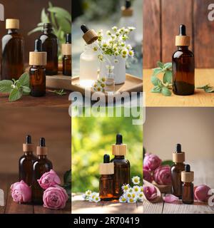 Différentes huiles essentielles dans des flacons en verre, conception de collage Banque D'Images