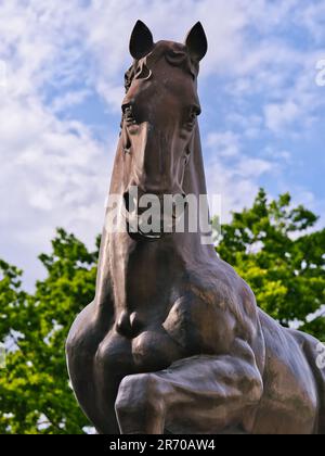 Close-up d'une statue équestre en bronze à Košice, Slovaquie, photographiée depuis un angle bas contre des arbres verts et un ciel bleu nuageux Banque D'Images