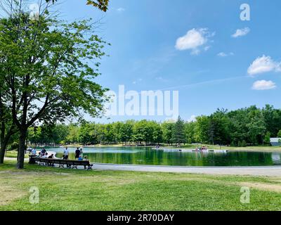 Vue sur le parc de la fontaine du lac Beaver, au sommet de la montagne Mont-Royal, en été. Banque D'Images
