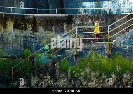 Une femme et son chien montent des marches en béton depuis une plage. Le côté des marches est couvert d’algues vertes après avoir été exposé à l’eau de mer à marée haute Banque D'Images