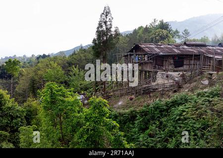 Maisons traditionnelles en bois fabriquées en bambou d'une tribu Nyishi dans un petit village de Yazali dans l'Arunachal pradesh, Inde Banque D'Images