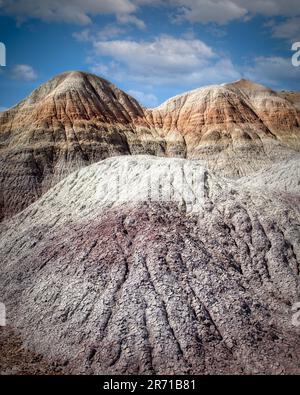 Les sédiments anciens de Blue Mesa dans la région de Blue Forest du parc national de Petrified Forest, en Arizona. Banque D'Images