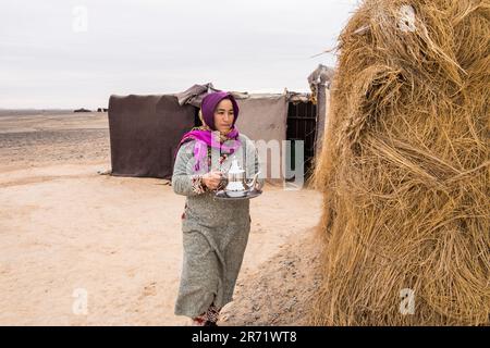 Maroc. Autour de Taouz. campement de nomades Banque D'Images