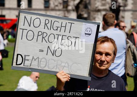 Angleterre, Londres, Westminster, Parliament Square, manifestant une étiquette autodidacte pour le droit à la protestation et à la démocratie. Banque D'Images