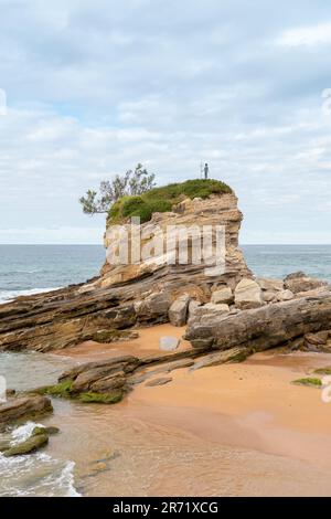 Paysage spectaculaire en Cantabrie - Espagne. Hautes falaises, avec végétation verte. Océan Atlantique avec des aquarelles spectaculaires. Banque D'Images