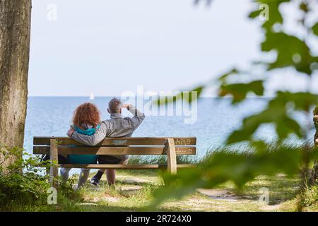 Urnüchsiger Gespensterwald in Nienhagen an der Ostsee, nahe Warnemünde, Mecklembourg-Poméranie-Occidentale, Allemagne Banque D'Images