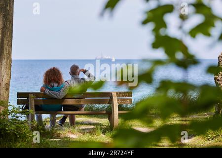 Urnüchsiger Gespensterwald in Nienhagen an der Ostsee, nahe Warnemünde, Mecklembourg-Poméranie-Occidentale, Allemagne Banque D'Images