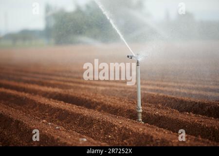 Équipement d'irrigation agricole pulvérisant de l'eau sur une surface sèche. Thèmes sécheresse, environnement et agriculture. Banque D'Images