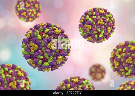 Virus de l'encéphalite équine de l'est, illustration informatique. Le virus est un arbovirus (virus transmis par arthropode) du genre Alphavirus de Togaviridae famil Banque D'Images