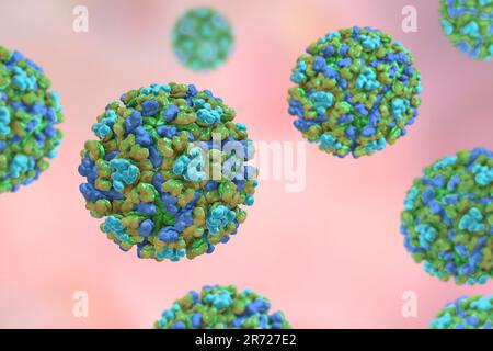 Virus de l'encéphalite équine de l'est, illustration informatique. Le virus est un arbovirus (virus transmis par arthropode) du genre Alphavirus de Togaviridae famil Banque D'Images