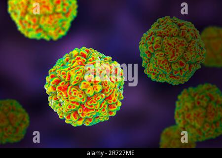 Entérovirus, illustration informatique. L'entérovirus est un genre de virus ARN à sens positif de la famille des Picornaviridae. Ils étaient à l'origine classifi Banque D'Images