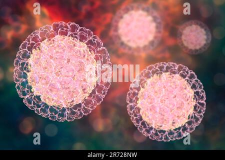 Particule de rotavirus, illustration informatique. La particule virale se compose d'un noyau d'ARN (acide ribonucléique) entouré d'une capside à triple couche. Les rotavirus Banque D'Images