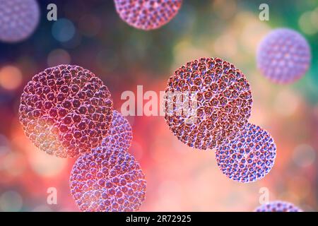 Particules de rotavirus, illustrations informatiques. La particule virale se compose d'un noyau d'ARN (acide ribonucléique) entouré d'une capside à triple couche. Rotaviruse Banque D'Images