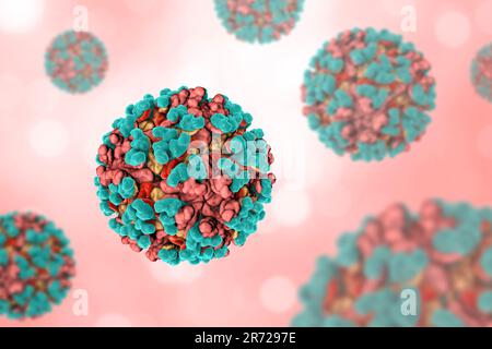 Virus de l'encéphalite équine vénézuélienne, illustration informatique. Ce virus transmis par les moustiques peut tuer les chevaux et d'autres espèces équines, causant ainsi le cerveau et le spi Banque D'Images