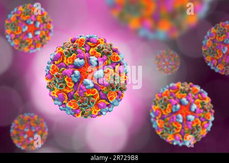 Virus de l'encéphalite équine occidentale, illustration informatique. Le virus est un arbovirus (virus transmis par arthropode) du genre Alphavirus de Togaviridae famil Banque D'Images