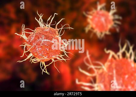Cellule dendritique, illustration de l'ordinateur. La cellule dendritique est un type de globules blancs. Il s'agit d'une cellule présentant des antigènes (APC), qui présente des antigènes à Banque D'Images