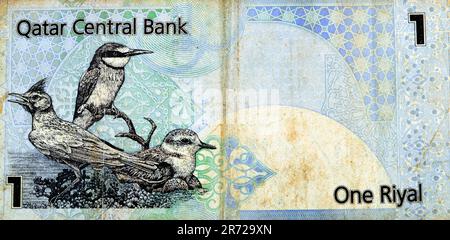 Gros fragment de la face arrière de 1 monnaie en espèces de Riyal de Qatari billet de banque avec des oiseaux indigènes de l'arche crétoise Galerida cristata, eurasien Banque D'Images