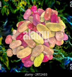 Porphyromonas gingivalis bactérie orale, illustration informatique. P. gingivalis (anciennement connu sous le nom de Bacteroides gingivalis) fait partie de la flore normale o Banque D'Images