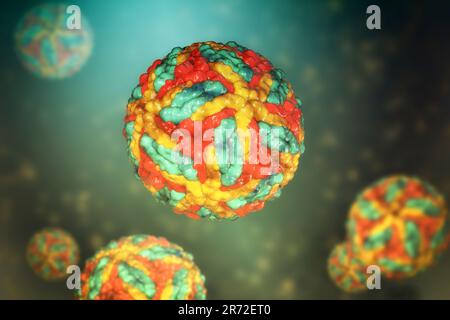 Particules du virus de l'encéphalite de Saint-Louis, illustration informatique. L'encéphalite de Saint Louis est une maladie transmise par les moustiques et est membre du Flavivirus Banque D'Images