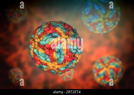 Particules du virus de l'encéphalite de Saint-Louis, illustration informatique. L'encéphalite de Saint Louis est une maladie transmise par les moustiques et est membre du Flavivirus Banque D'Images