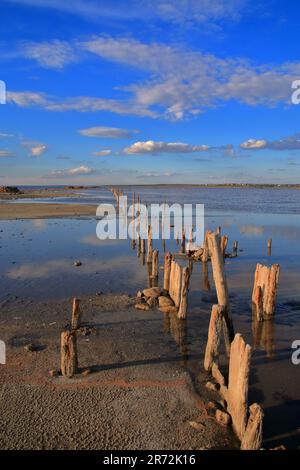 La photo a été prise en Ukraine sur l'estuaire appelé Kuyalnik. La photo montre un estuaire salé peu profond avec les restes d'un quai sous les rayons de Banque D'Images