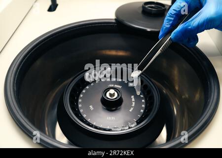 Un scientifique en gants met des tubes à essai avec des échantillons d'ADN à centrifuger. Banque D'Images