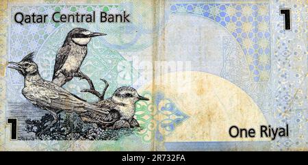 Gros fragment de la face arrière de 1 monnaie en espèces de Riyal de Qatari billet de banque avec des oiseaux indigènes de l'arche crétoise Galerida cristata, eurasien Banque D'Images