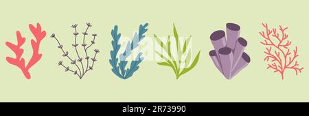 Ensemble de plantes aquatiques ou d'algues marines et d'aquarium, plantation sous-marine, illustration vectorielle Illustration de Vecteur