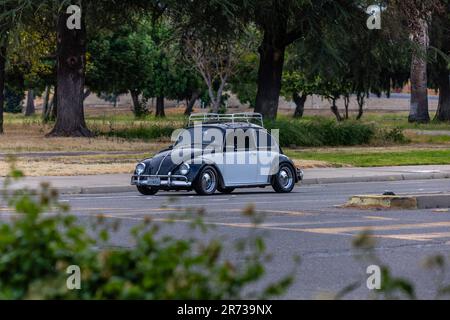 Une Volkswagen Beetle des années 1960 au North Modesto Kiwanis American Graffiti car Show & Festival Banque D'Images