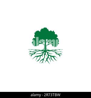 Logo Tree Oak. Illustration du vecteur chêne. Arbre biologique Illustration de Vecteur