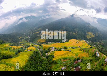 Majestueux champs en terrasse dans le district de Mu Cang Chai, province de Yen Bai, Vietnam. Champs de riz prêts à être récoltés dans le nord-ouest du Vietnam. Banque D'Images