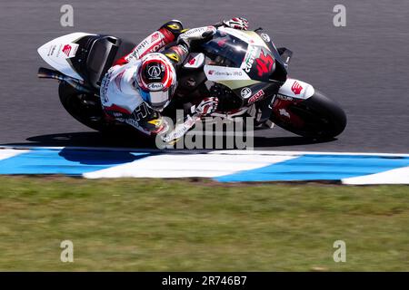 PHILLIP ISLAND, AUSTRALIE - OCTOBRE 16 : Tetsuta Nagashima du Japon sur le Honda IDEMITSU du LCR pendant la course MotoGP au MotoGP australien de 2022 sur le circuit de Phillip Island à 16 octobre 2022, sur l'île Phillip, en Australie. Banque D'Images