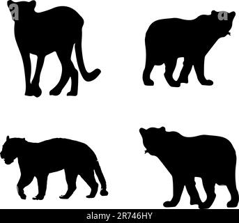 Illustration du motif vectoriel de la collection silhouette du lion Illustration de Vecteur