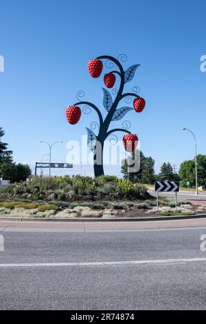 Sculpture de framboises en bord de route à Abbotsford (Colombie-Britannique), Canada Banque D'Images