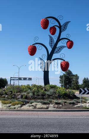 Sculpture de framboises en bord de route à Abbotsford (Colombie-Britannique), Canada Banque D'Images