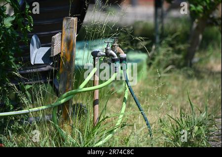Berlin, Allemagne. 09th juin 2023. Deux raccordements d'eau sont situés sur la pelouse d'un jardin d'allotement à Berlin. Credit: Jessica Liquetzki/dpa/Alay Live News Banque D'Images