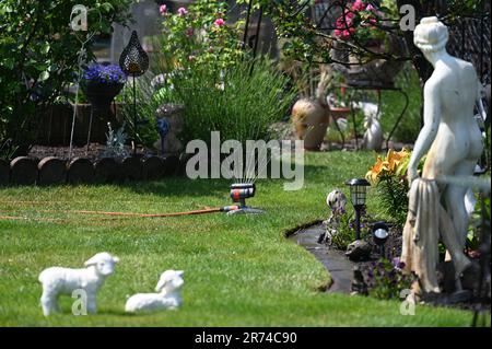 Berlin, Allemagne. 09th juin 2023. Un arroseur arrose une pelouse dans un jardin de Berlin. Credit: Jessica Liquetzki/dpa/Alay Live News Banque D'Images
