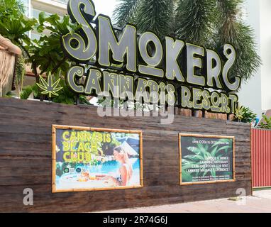 Pattaya, Thaïlande - 13 juin 2023: Après la légalisation du cannabis en Thaïlande, les lieux de vente de produits de cannabis se sont multipliés, également entre les bars an Banque D'Images