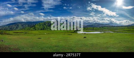 Une vue panoramique sur un terrain verdoyant avec une toile de fond de montagnes majestueuses par une journée ensoleillée Banque D'Images