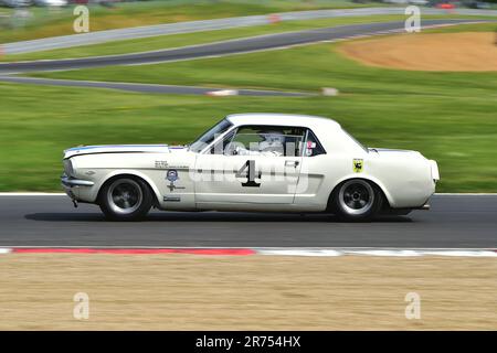 David Coyne, Mark Wright, Ford Mustang, Masters Pre-66 Touring Cars, une course de 60 minutes avec l'option d'un second pilote, pour les voitures de tourisme avant 1966, s Banque D'Images